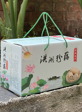 礼盒正宗洪湖粉藕湖北特产莲藕煲汤炖汤新鲜糯米九孔莲藕红现挖