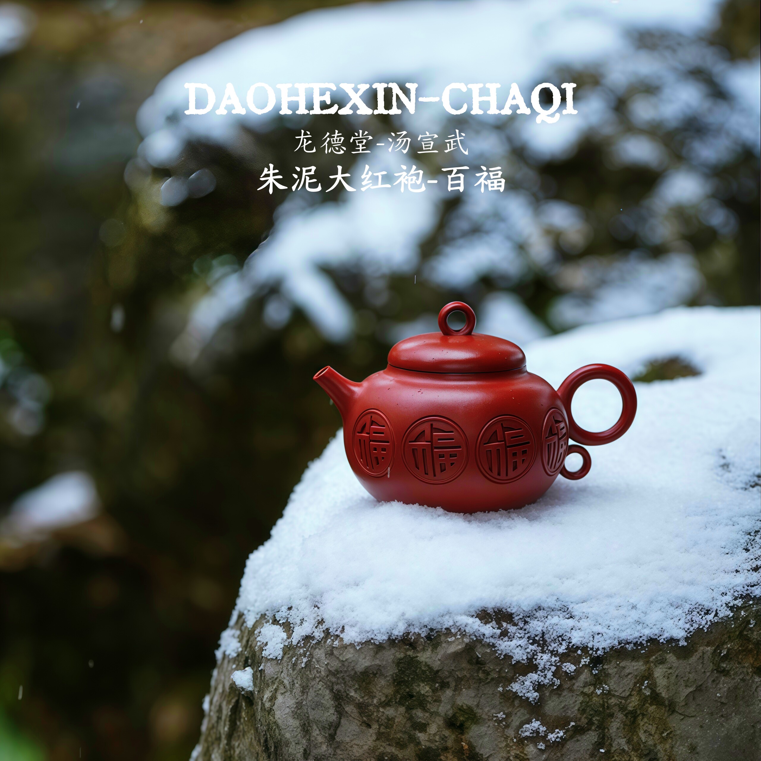 龙德堂-汤宣武 百福 朱泥大红袍全手工原矿紫砂壶范泽锋监制200cc