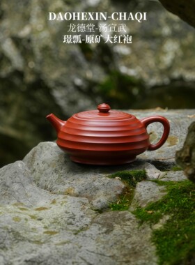 汤宣武 璟瓢 原矿大红袍纯手工全手紫砂壶茶壶龙德堂范泽锋设计