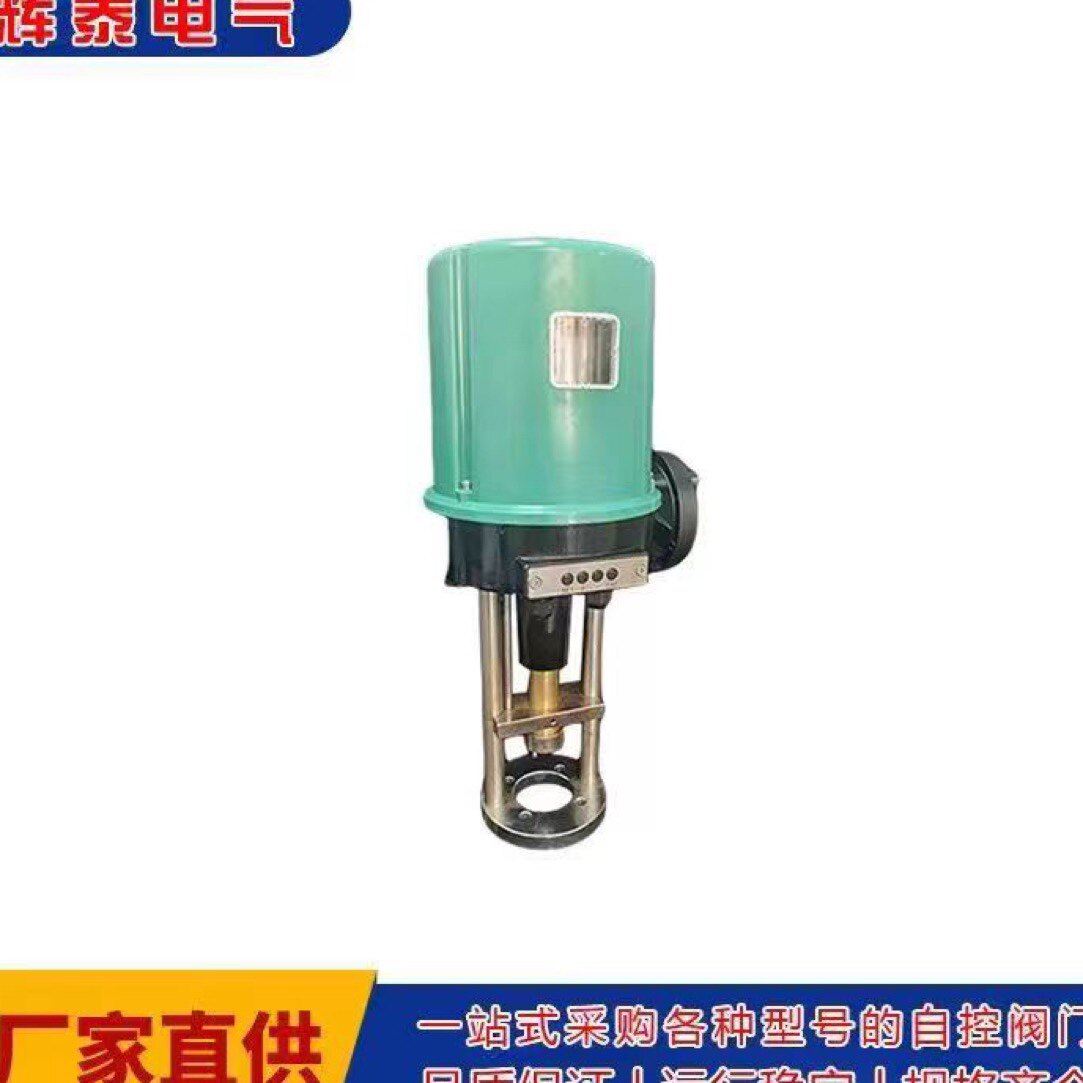 辉泰 直行程电动执行器 381LSB-30 381LSB-50