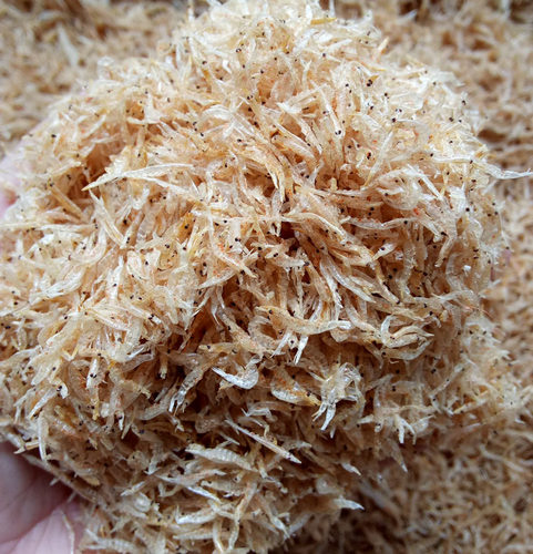 天然虾皮包邮巴西石金钱乌龟饲料