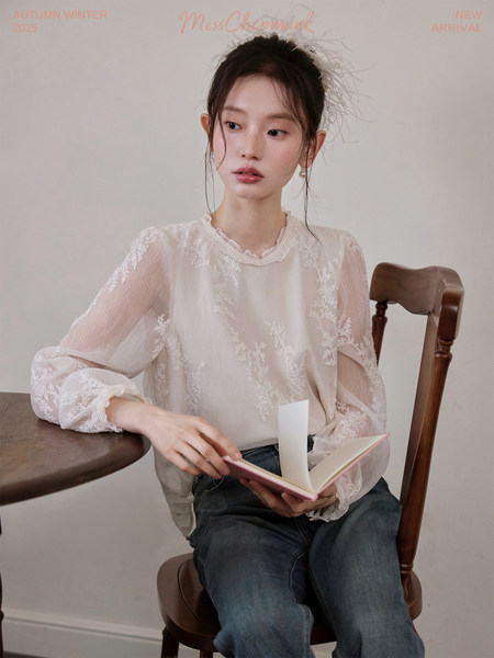 Model wearing a sheer embroidered long-sleeve blouse