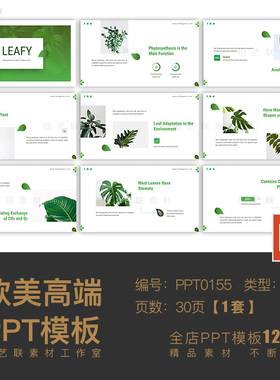 PPT模板 绿色清新创意简约绿植园林植物介绍绿化生态环保项目总结