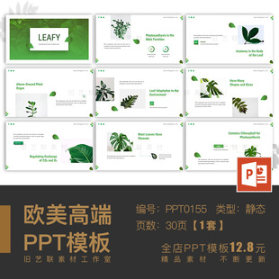 PPT模板 绿色清新创意简约绿植园林植物介绍绿化生态环保项目总结