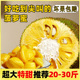海南菠萝蜜新鲜一整个现摘25斤当季水果整箱黄肉菠萝蜜水果广西