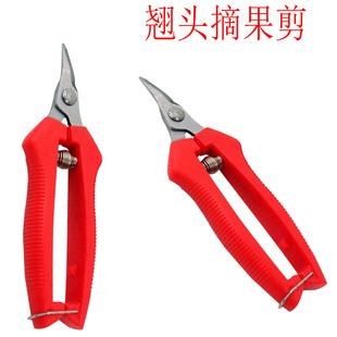 厂家现货翘头摘果剪修枝剪刀果农摘菜葡萄剪稀果剪弯头摘果剪