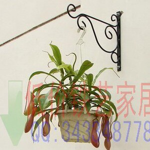 铁艺花架/植物架/悬挂式花架/台阶式花架/吊篮/客厅阳台花篮/花盆