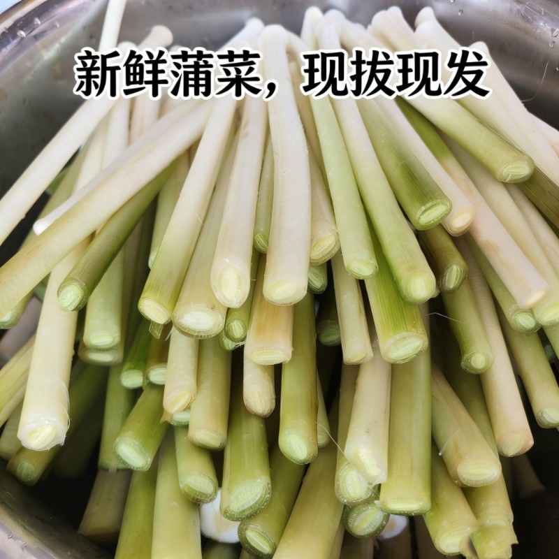 蒲菜新鲜野菜蒲草芯蒲儿菜蒲笋茭白时令野生蔬菜带皮发货湖北特产 - 实物图