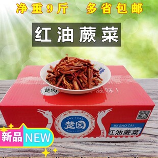 楚园红油蕨菜香辣味整箱10斤散装即食腌制凉拌酱菜小菜咸菜下饭菜