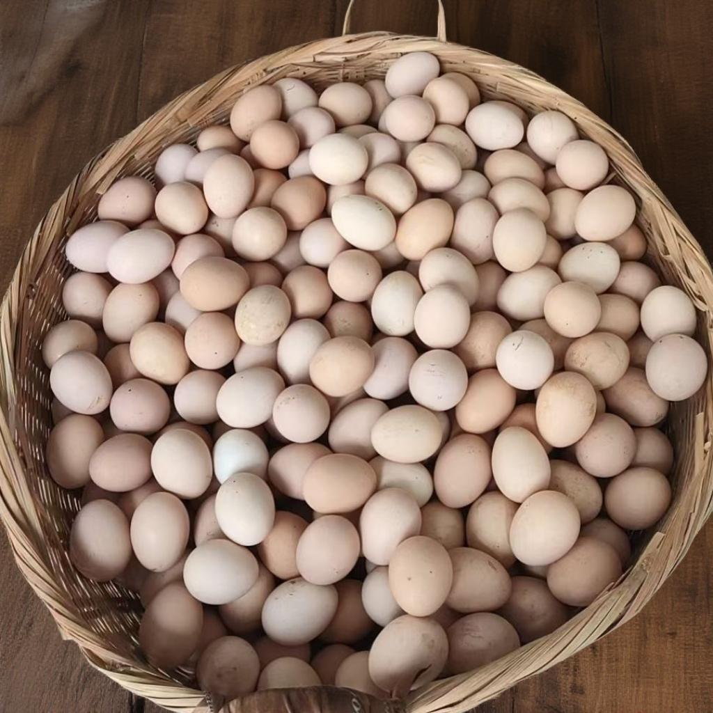 云南新鲜鸡蛋高原土鸡蛋柴鸡蛋笨鸡蛋正宗农家散养土鸡蛋批发20枚