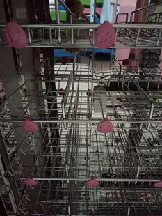 幼儿园口杯消毒柜铭牌口杯柜消毒柜配件标号牌子口杯数字铭牌