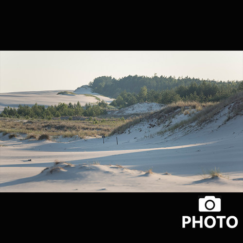 Photo Coastal Dunes海岸沙丘照片素材