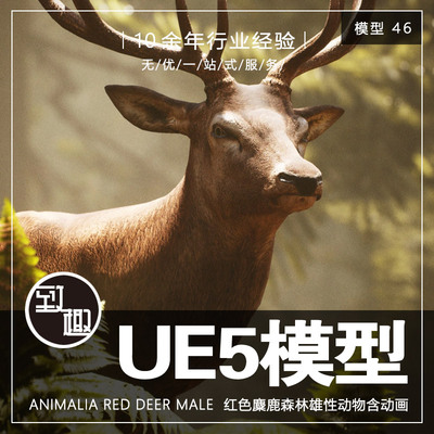 UE4UE5_Animalia Red Deer male森林动物红色麋鹿含动画_模型46