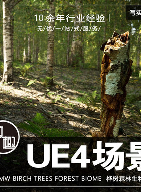 UE4虚幻5_桦树森林树林生物群落自然风景cg游戏场景资源_写实353