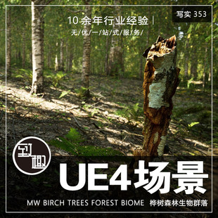 UE4虚幻5_桦树森林树林生物群落自然风景cg游戏场景资源_写实353