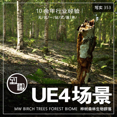 UE4虚幻5_桦树森林树林生物群落自然风景cg游戏场景资源_写实353
