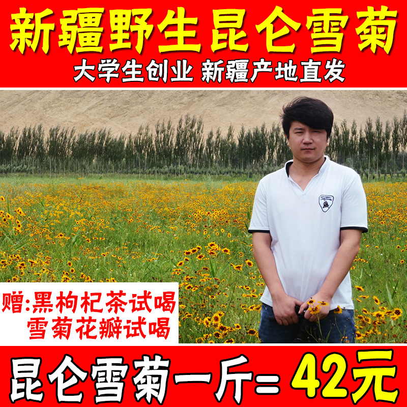 500g雪菊新疆野生昆侖雪菊特級天山血菊非胎菊王茶葉去火菊花茶
