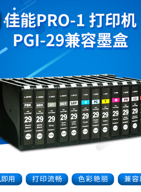 丽辉适用佳能Canon Pro-1照片喷墨打印机墨水盒PGI-29PBK MBK LGY DGY C M Y PC PM黑色彩色国产代用兼容墨盒