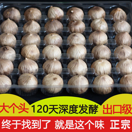 独头黑蒜山东黑大蒜正宗煲汤即食发酵黑蒜头金乡大烤蒜商用特产