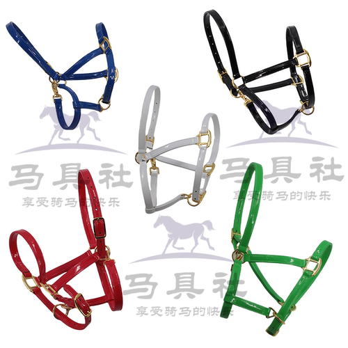 漆皮超纤马笼头调教龙头