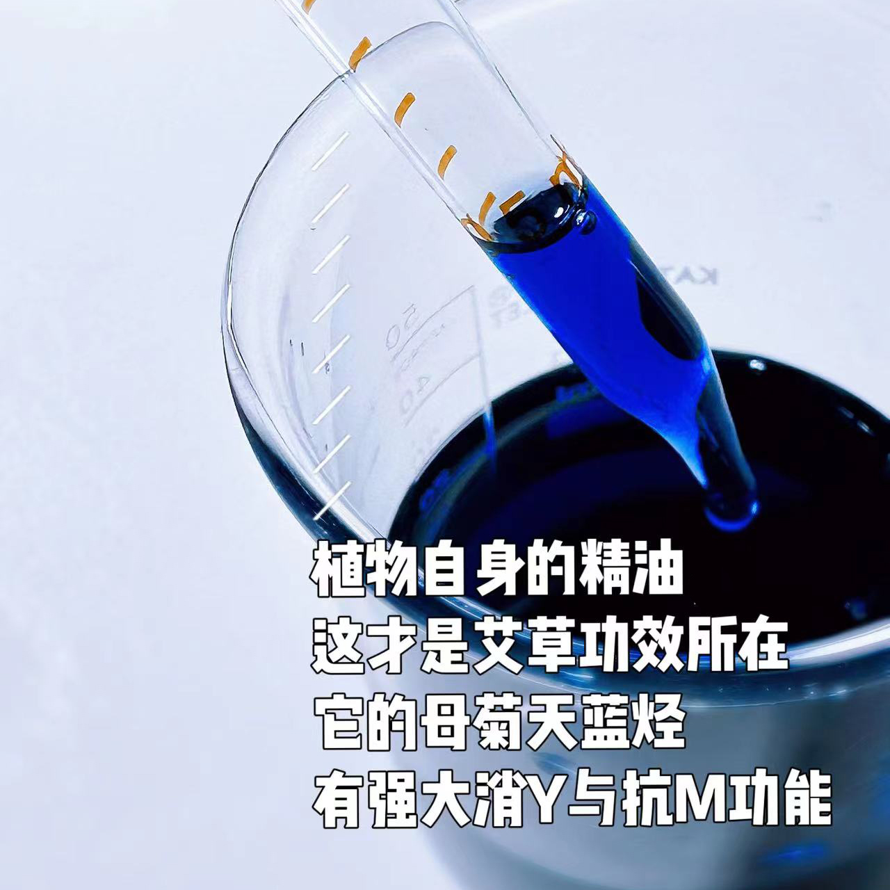 优慕蓝艾草面部复方精华油