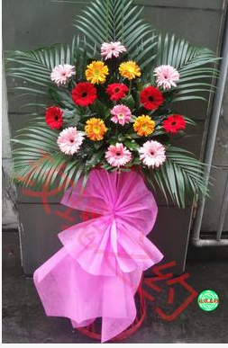 九台市其塔木鎮上河灣鎮西營城街鮮花店速遞開業花籃商務開張同城在類目 鮮花速遞/花卉仿真/綠植園藝, 商務用花中 - 來自Buy2taobao.com提供專業的淘寶代購服務