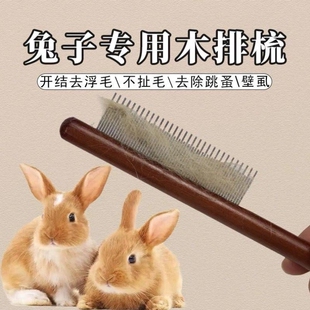 兔子梳毛器刷毛去浮毛侏儒兔专用洗澡除毛宠物兔毛用品开结排梳