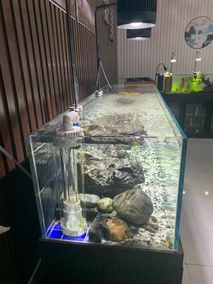 新品溪流水草缸创意造景超白玻璃鱼缸生态鱼缸水族箱不含灯a.