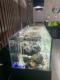溪流水草缸创意造景超白玻璃鱼缸生态鱼缸水族箱不含灯a. 新品