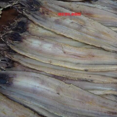 海产鳗鱼干淡鳗鱼鲞 鳗鱼干海鲜干货 温州特色鳗鱼干一斤包邮