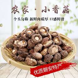 新货香菇干货磐安蘑菇肉厚净重农家冬菇 煲汤特产小个精选大个
