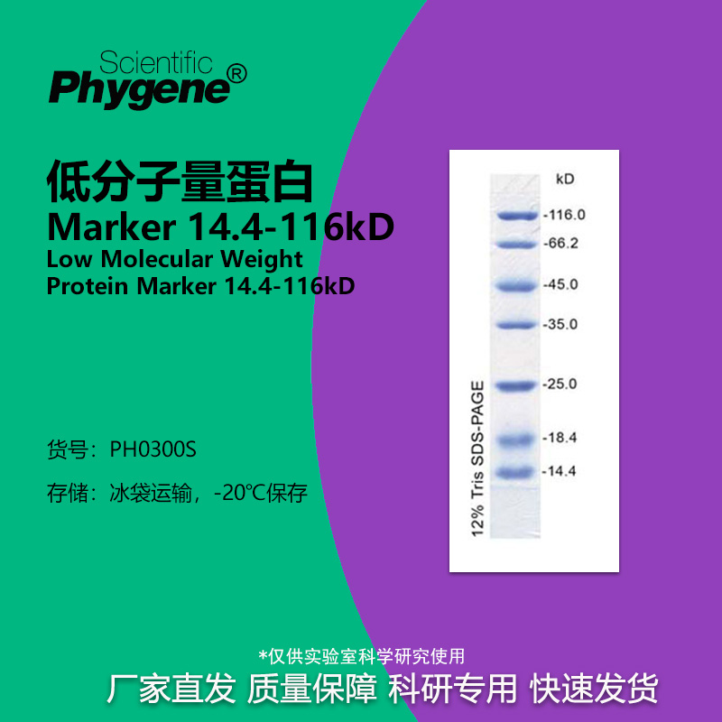 低分子量蛋白质Marker14.4-116kD