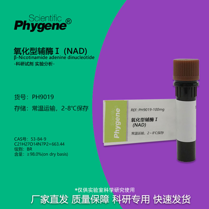 氧化型辅酶 I  NAD试剂 二磷酸吡啶核苷酸 实验试剂 1g CAS: 53-8