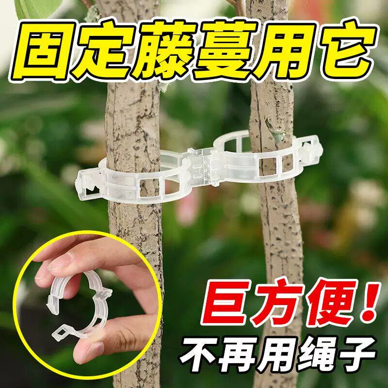 植物藤蔓固定卡扣支撑夹环