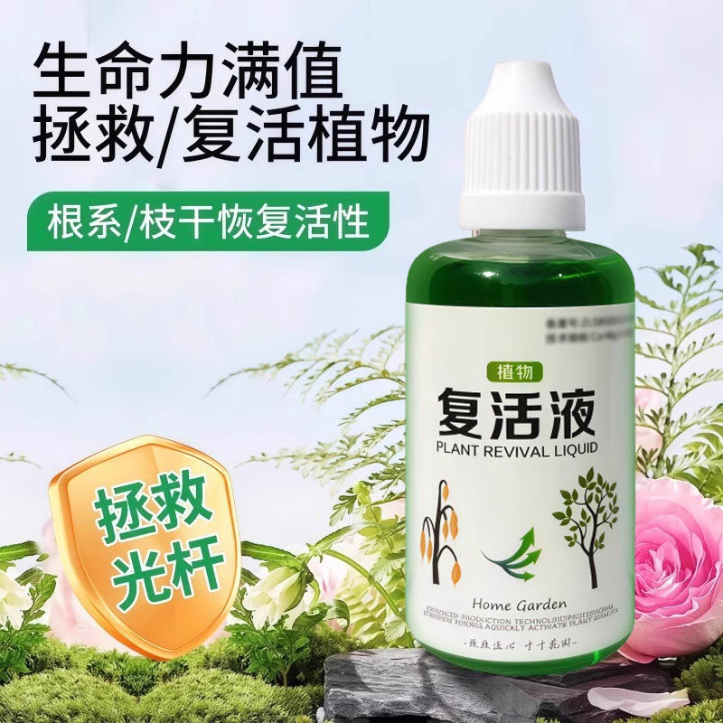 活性生根壮苗发黄掉叶
