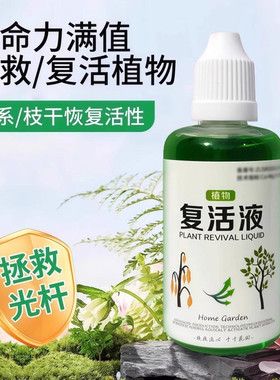 活性生根壮苗发黄掉叶