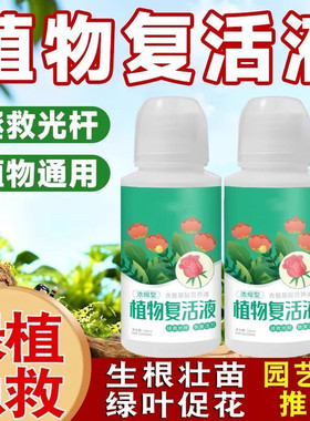 花卉复活液快速增强活性