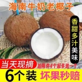 海南新鲜椰子毛椰当季 孕妇水果整箱牛奶老椰子6非泰国椰青耶子4个