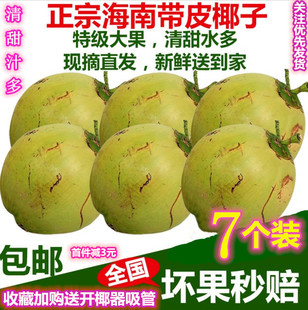 海南新鮮椰奶香椰子特產(chǎn)純天然帶皮椰青孕婦水果汁水多大肉青椰子