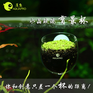 羡鱼水草造景杯 培育杯 鱼缸水族箱迷你水草饲育造景盆 口径5.5cm