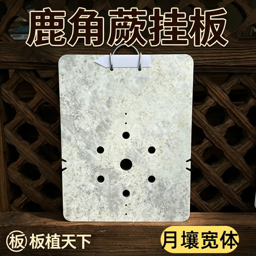 鹿角蕨挂板网红款月壤挂板热植板洞洞板植鹿角蕨高端挂板