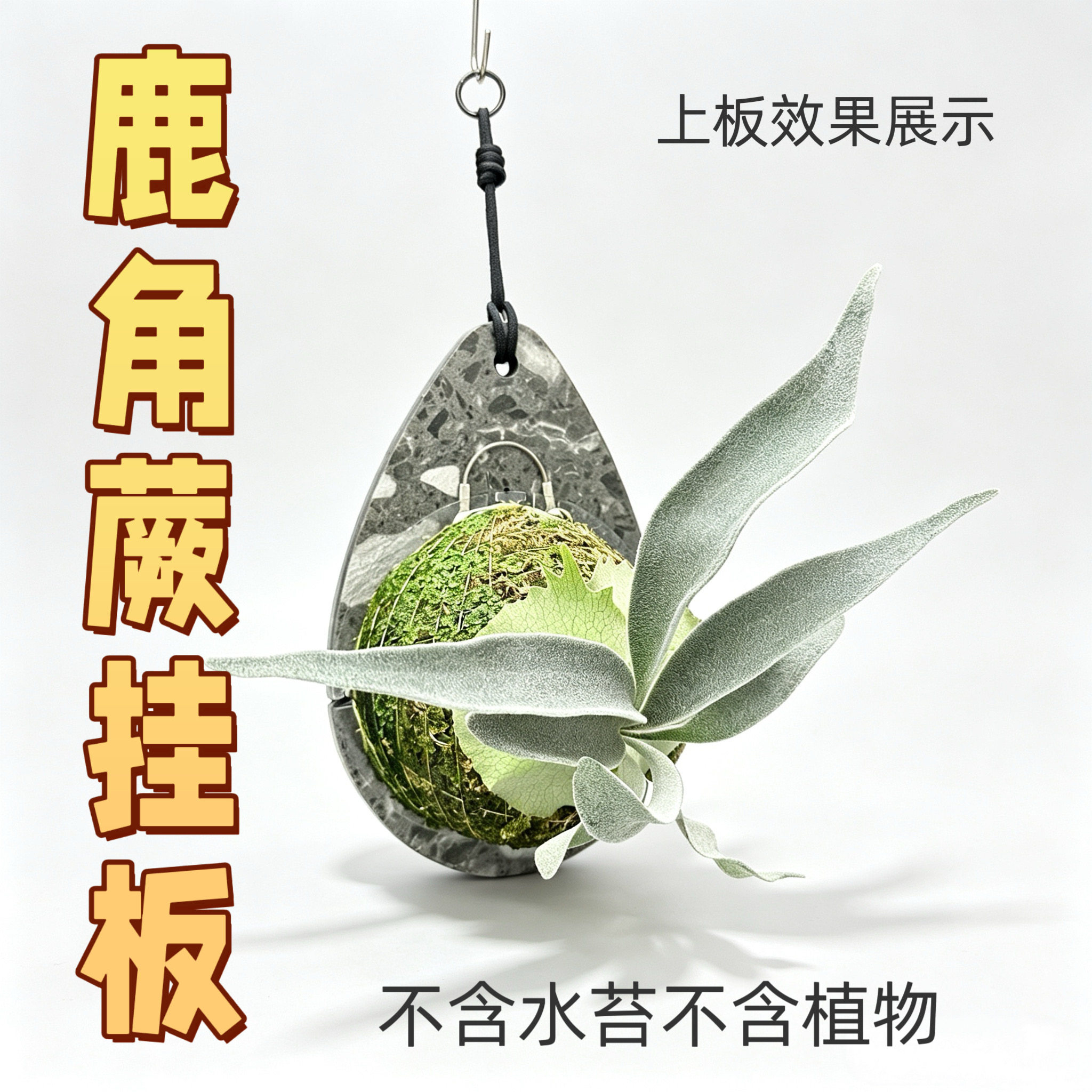 鹿角蕨挂板pvc塑料高密度结皮板蝴蝶兰石斛挂板热植板