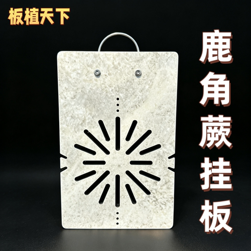 鹿角蕨挂板网红款月壤挂板热植板洞洞板植鹿角蕨高端挂板