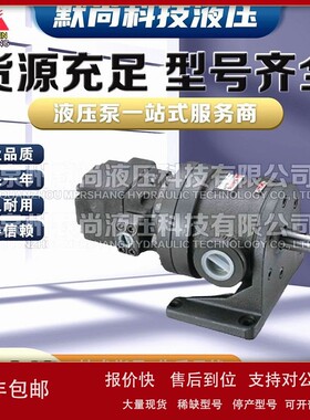 议价台湾镒圣150T+PV2R1/50T+50T/50T+PA(PB)/50T+PV2R1/PV2R12双