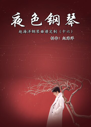 【现货】夜色钢琴《十六》 赵海洋五线谱定制39首 8919005“圈装