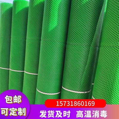 绿色小孔养殖加厚塑料网片防逃防坠育雏网床漏粪围鸡鸭鹅鱼塘隔离