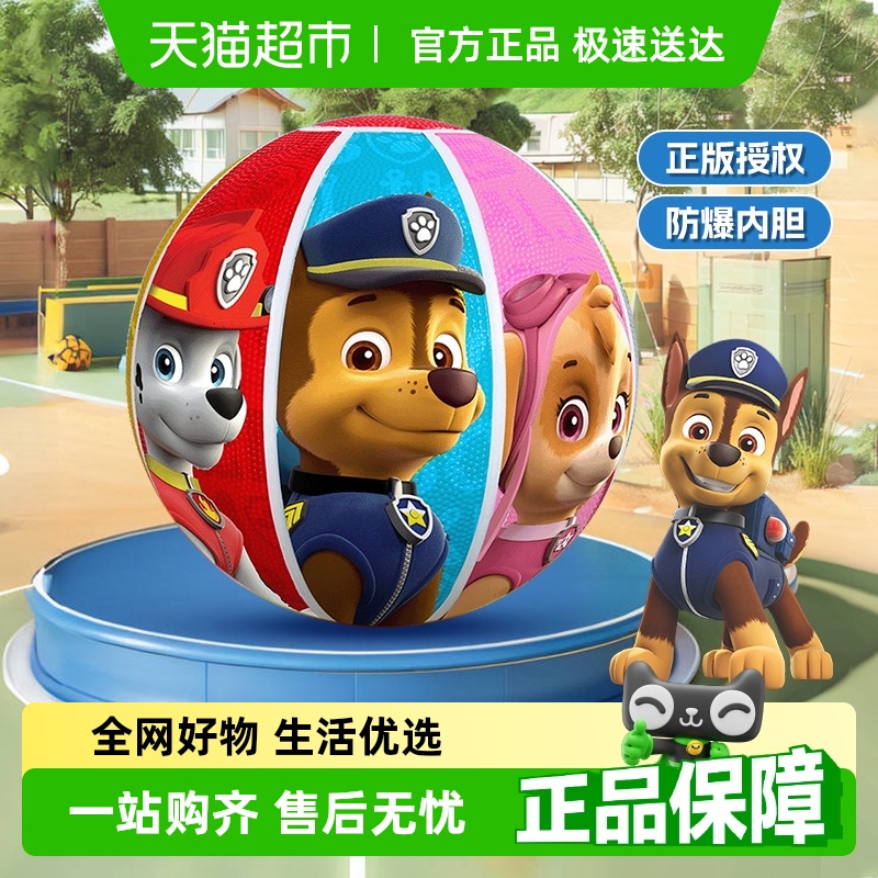 汪汪队篮球25号小学生专用防滑耐磨拍皮球训练运动六一儿童节礼物