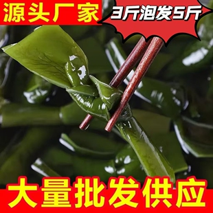 盐渍海带结新鲜海带扣非干货煲汤火锅凉拌关东煮麻辣烫商用批发