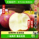 详情领优惠 云南昭通丑苹果富士苹果脆甜冰糖新鲜水果顺丰 包邮