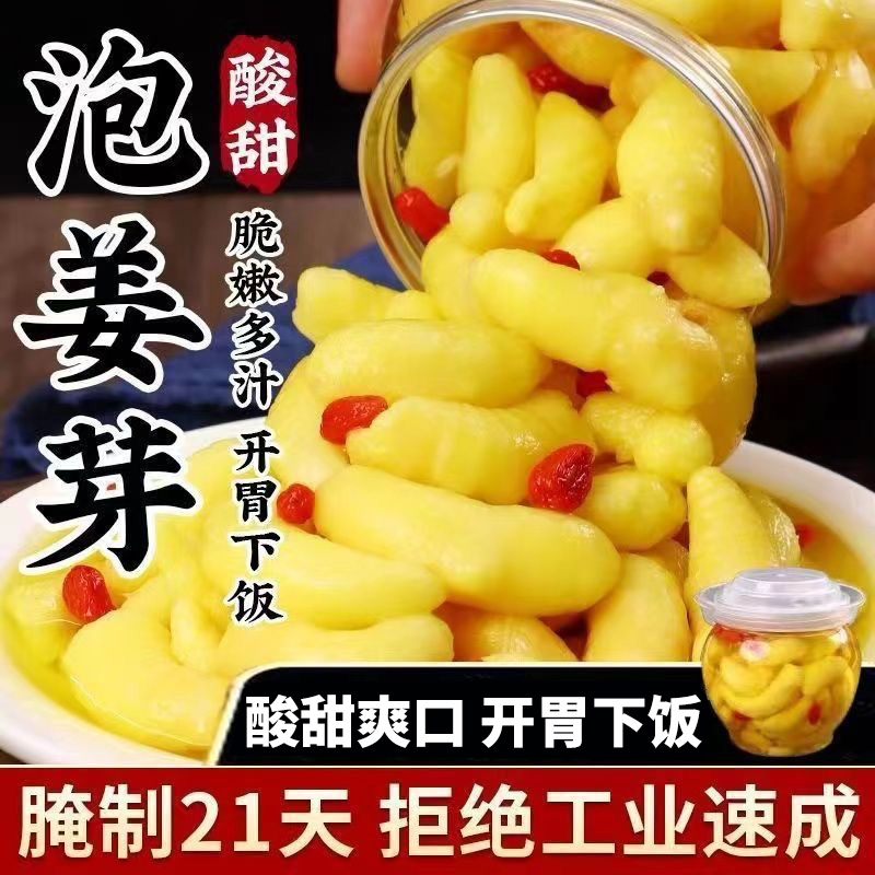 泡姜嫩姜枸杞泡姜芽山东淄博特产嫩酸甜开胃小黄姜醋姜片泡菜下饭